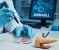 Japan Achieves Medical Breakthrough with First Successful Stem Cell Transplant for Type 1 Diabetes