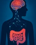 Gut-Brain Connection: How Your Microbiome Affects Mood, Anxiety, and Memory