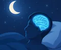 The Science of Sleep: How Rest Shapes Your Brain and Body